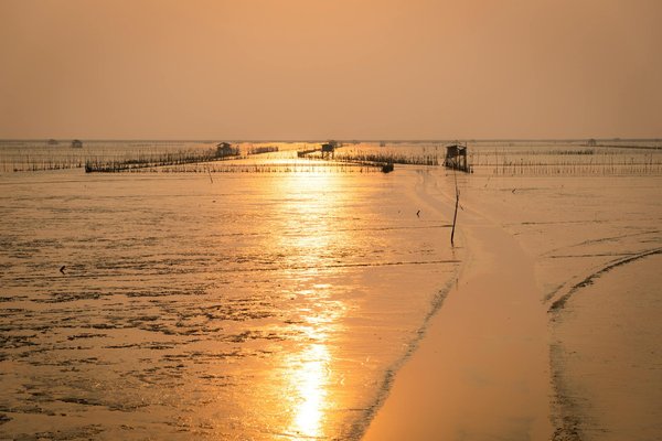 Commande de chèques-vacances dématérialisés : mode d'emploi simple