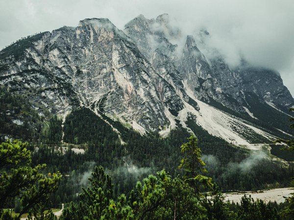 Hôtel confortable à montparnasse : votre oasis à paris 14